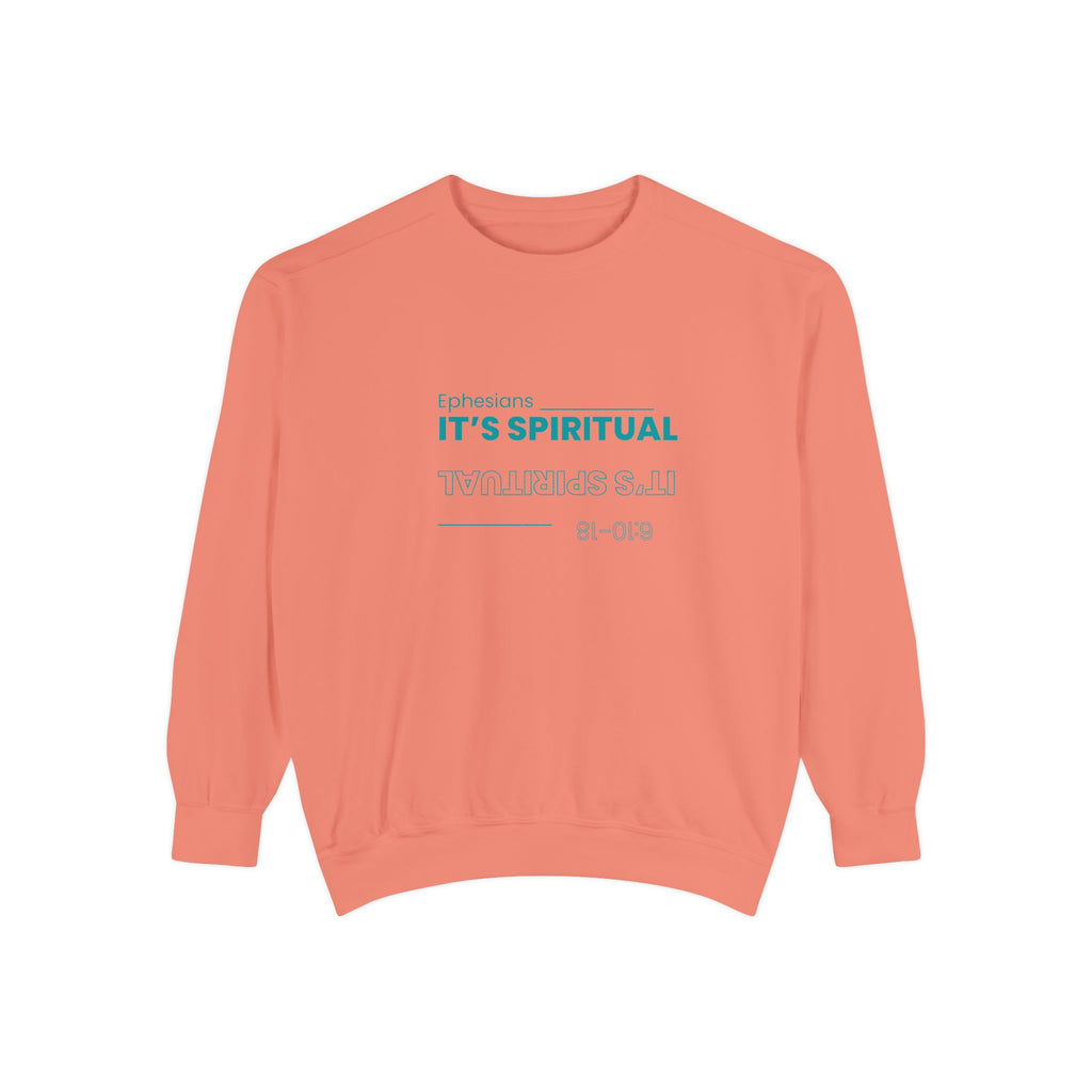 Coral sweatshirt with text on a white background