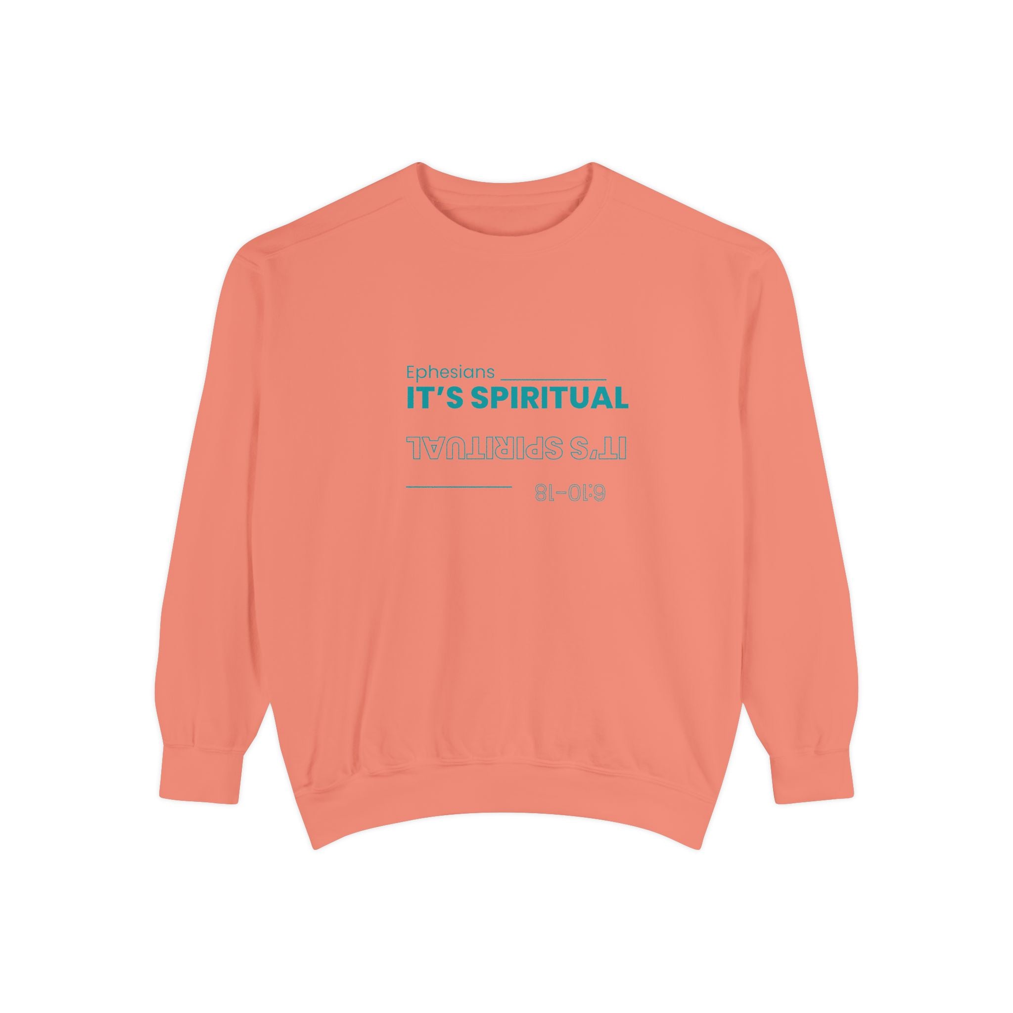 Coral sweatshirt with text on a white background