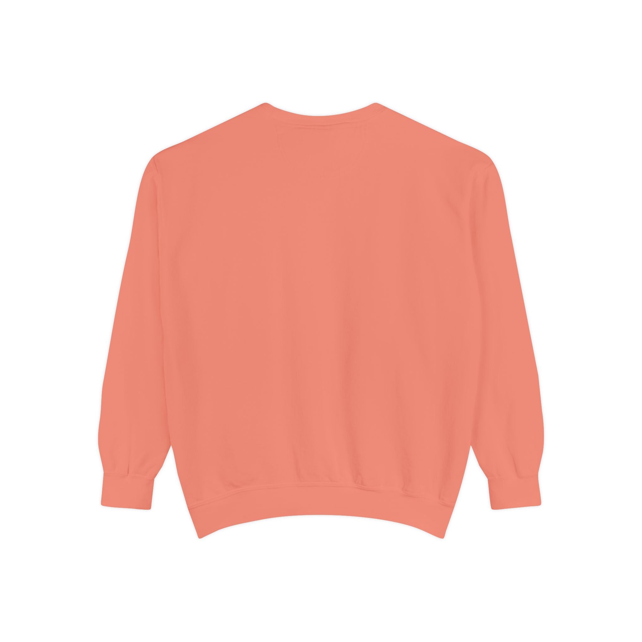back view of Coral sweatshirt on a white background