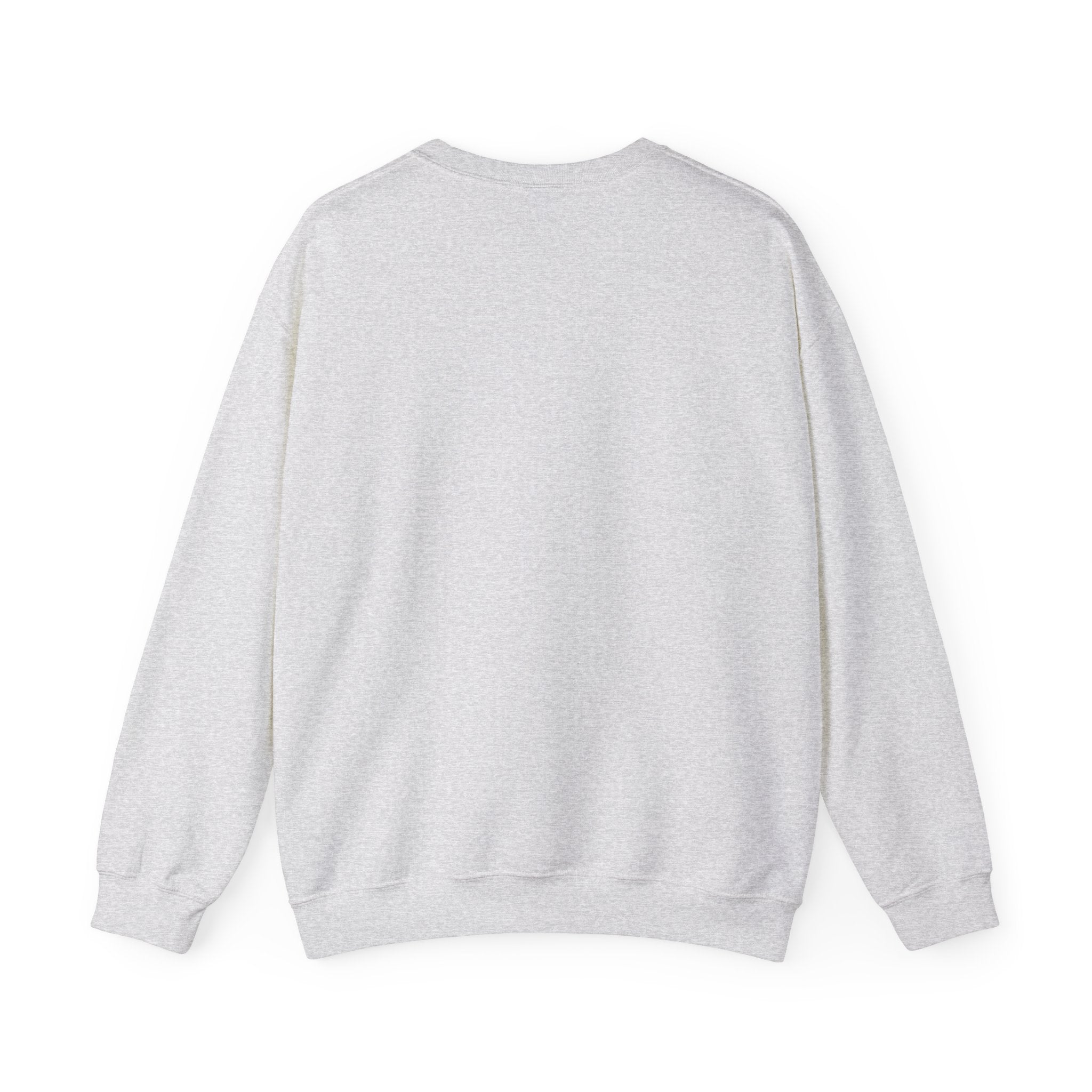 back view of Gray sweatshirt on a white background