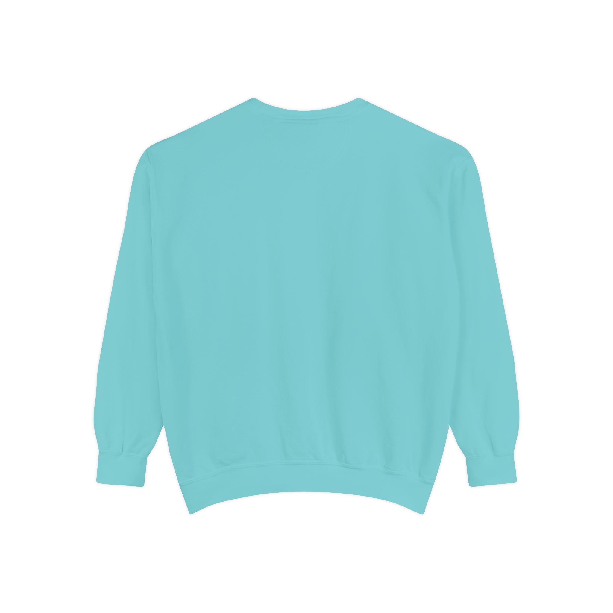 plain back view of Light blue sweatshirt on a white background