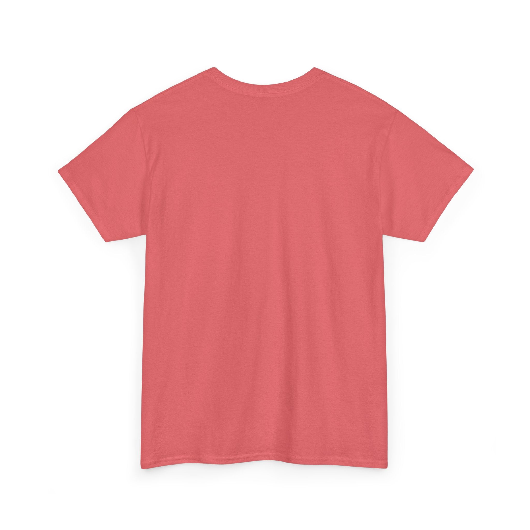 back view of pink t-shirt on a white background
