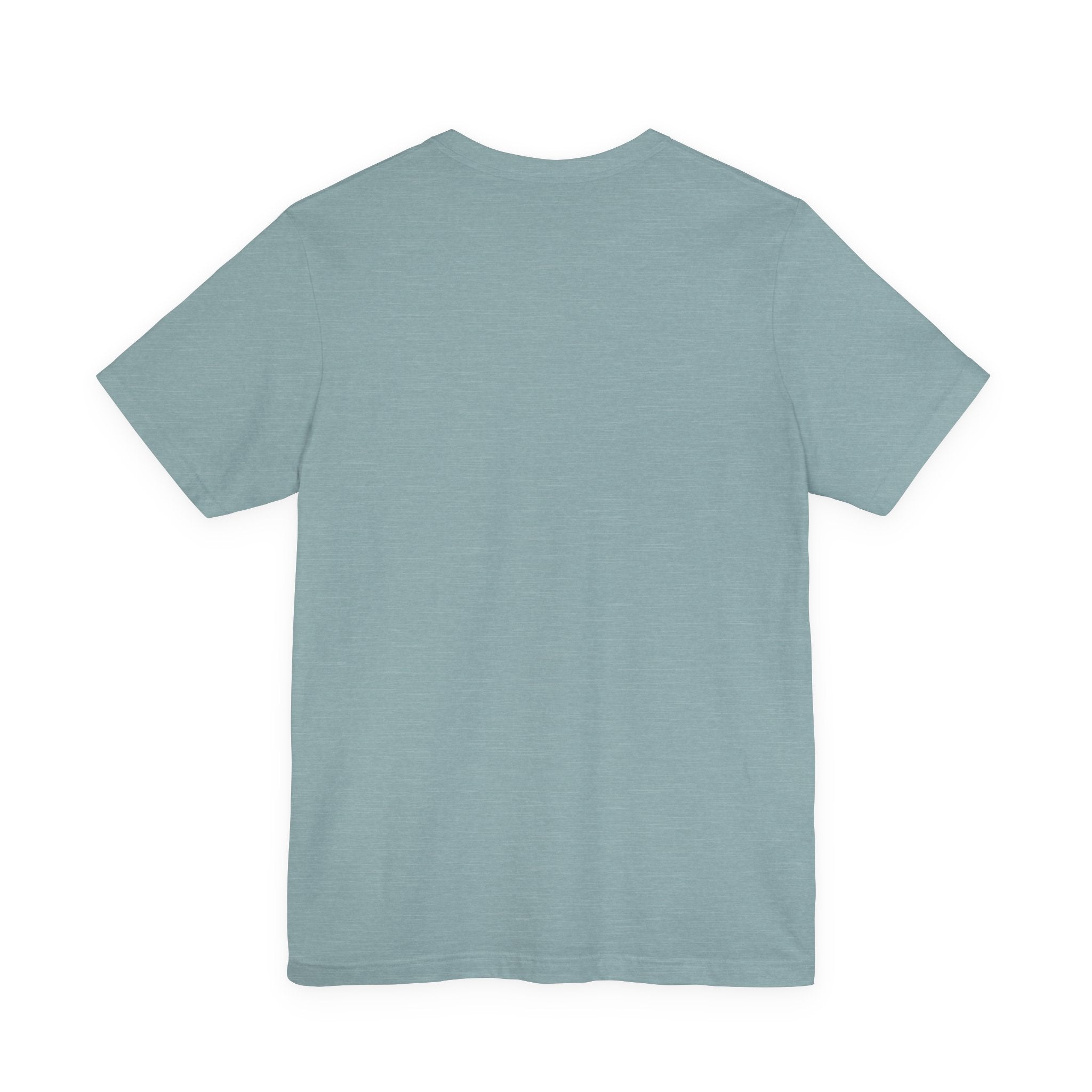 back view of  light blue t-shirt on a white background