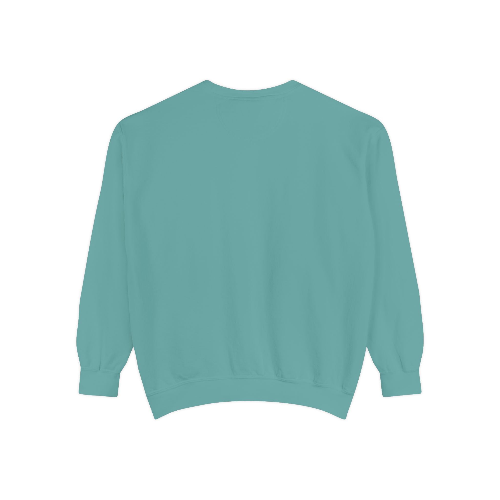 back view of Teal sweatshirt on a white background