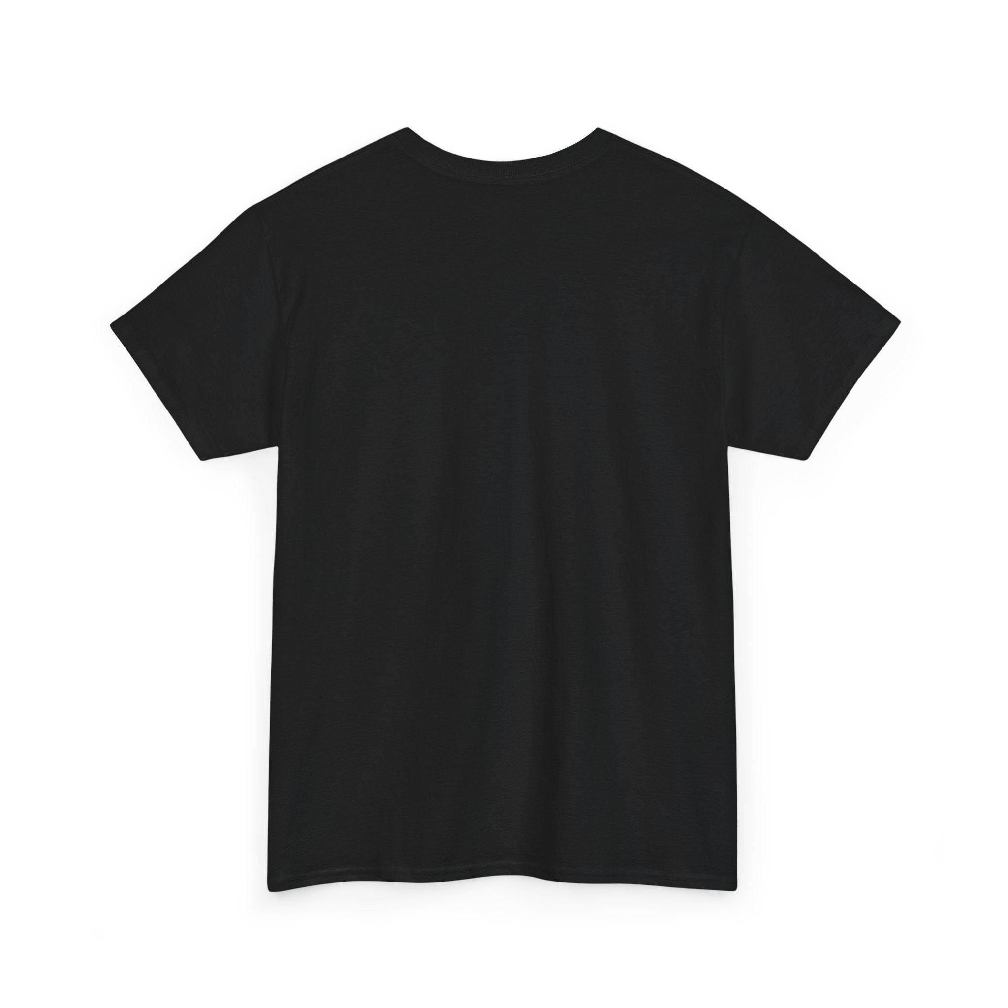 plain back view of Black t-shirt on a white background